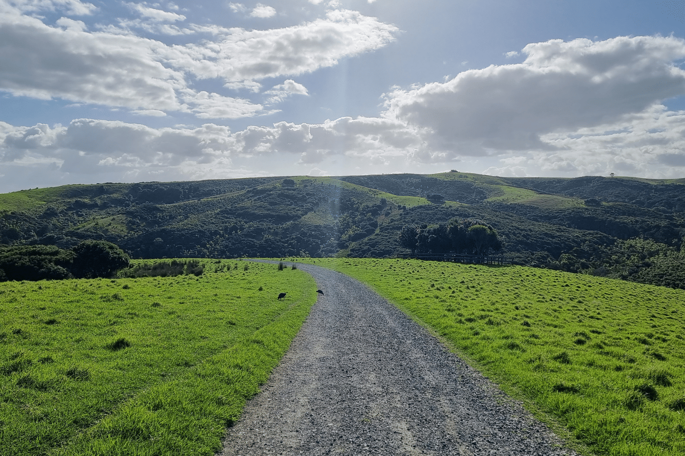 Creating the Right Conditions