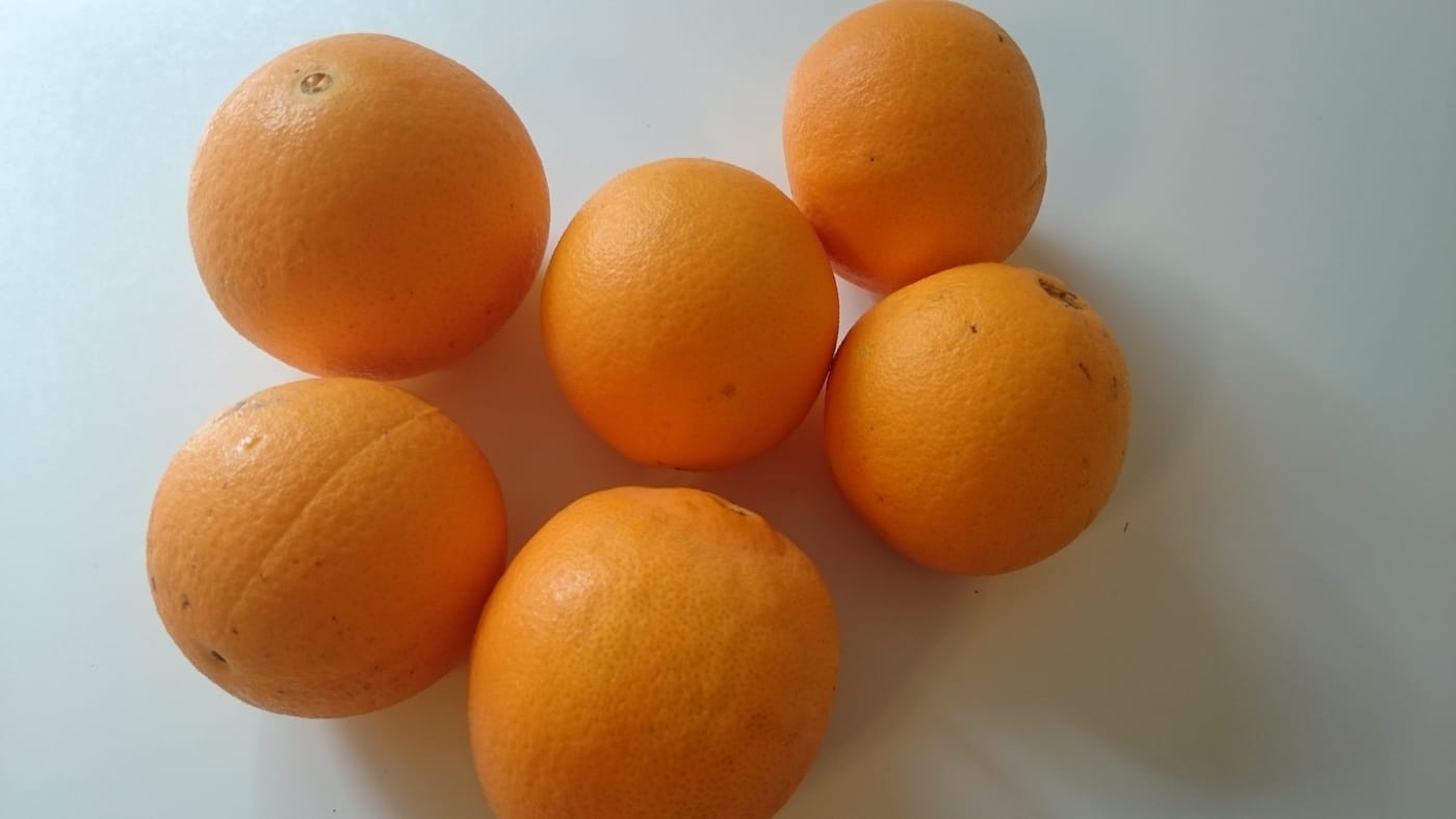 Healing leaky gut: day 7