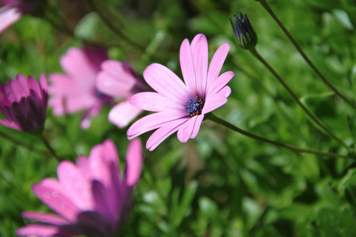 5 Self-care techniques for you to use on a daily basis