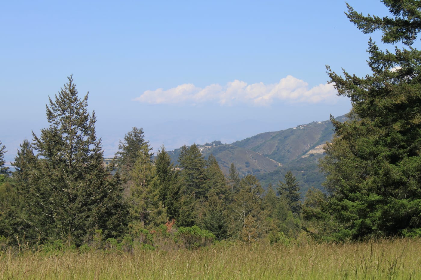Women's Retreat, March 18-20, 2016, Santa Cruz Mountains, California