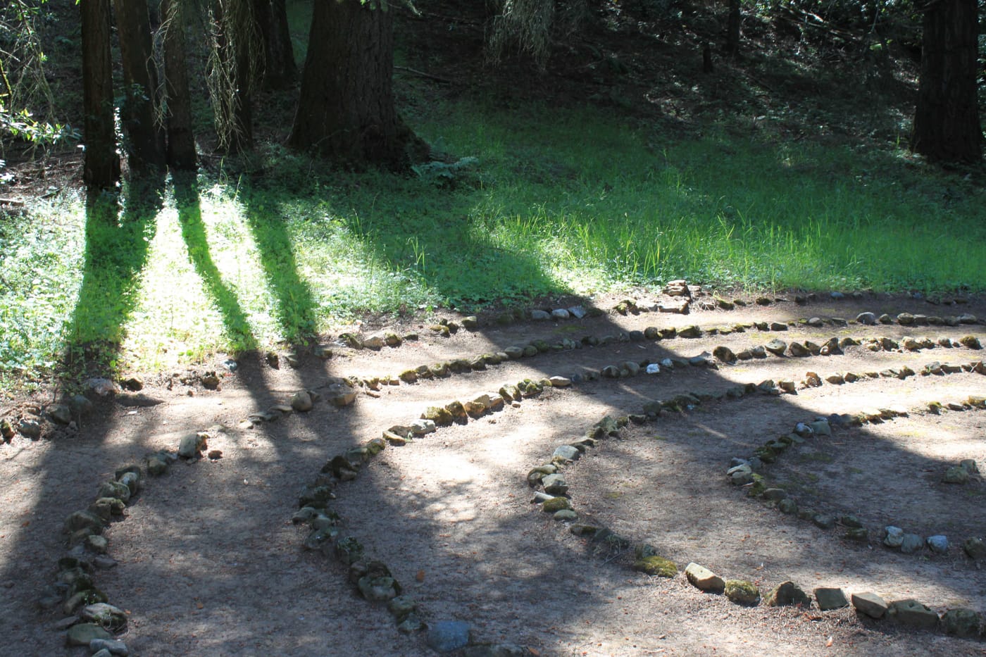 Reflections from New Energy Women's Retreat