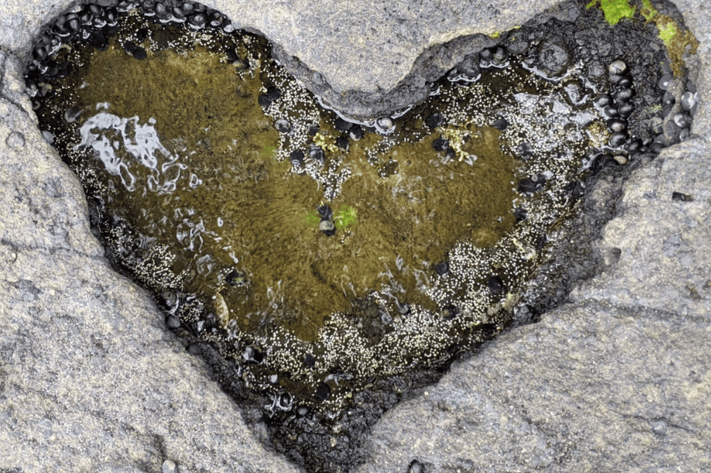 The Power of Presence and the Journey Ahead
