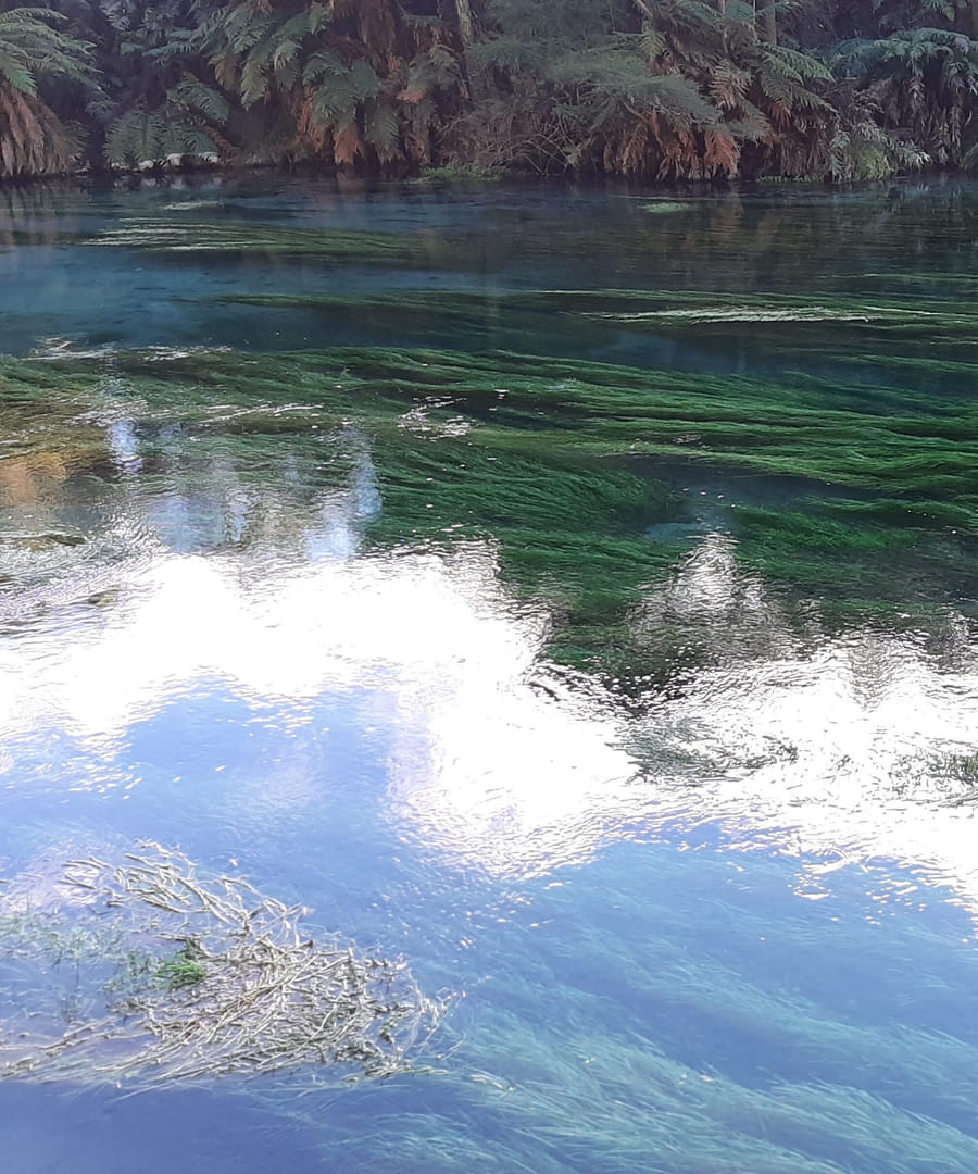 A pristine alpine lake with turquoise water reflecting the forest canopy above; mirror-like surface between towering trees.