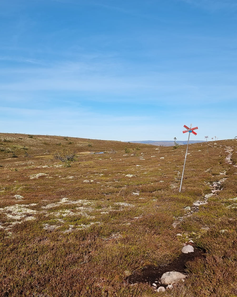 A narrow rocky footpath winding through open moorland under a pale blue sky, leading toward a distant horizon.
