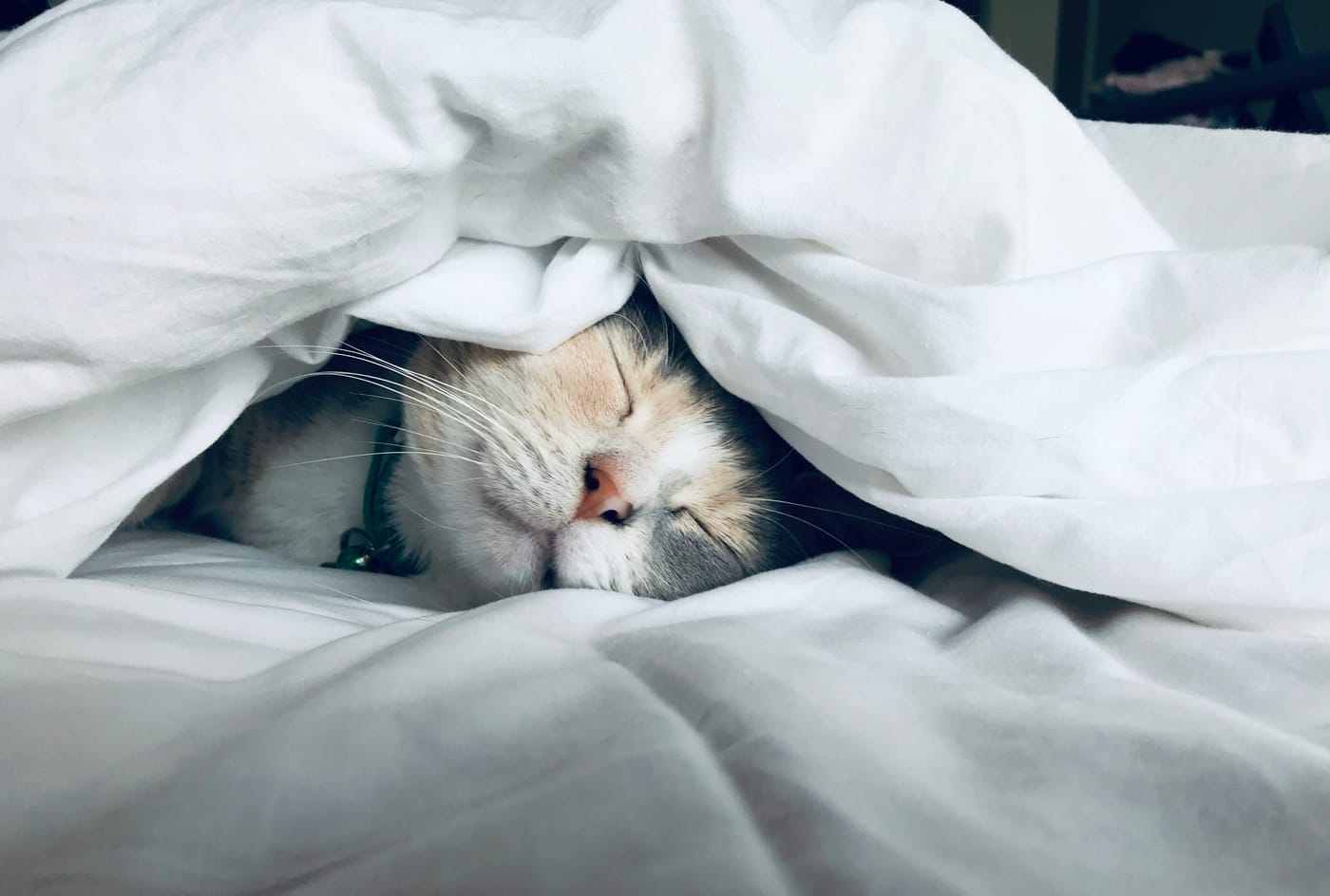 The Connection Between Sleep and Heart Disease
