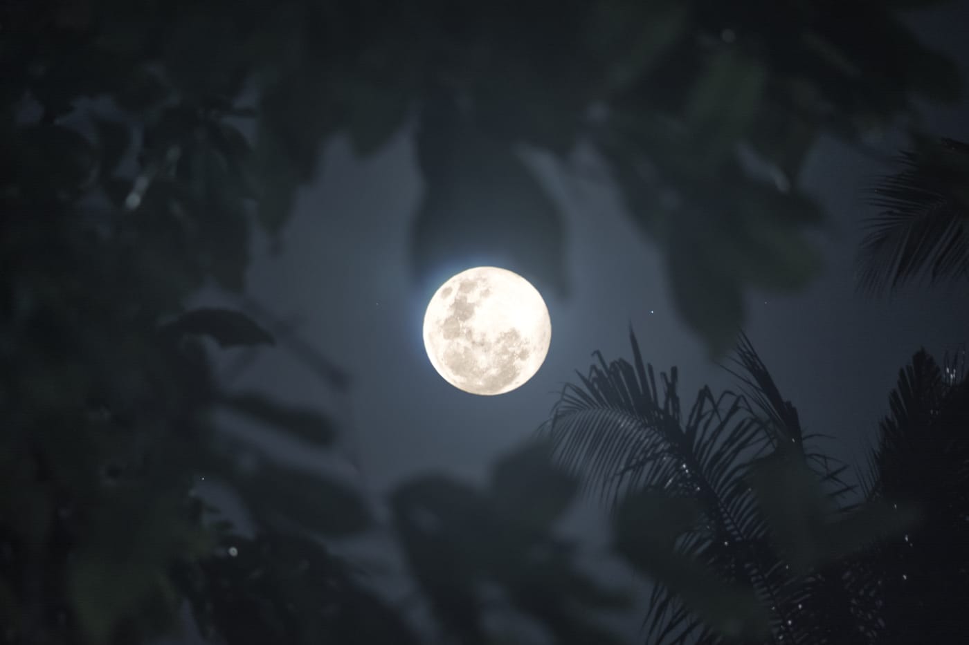 Does full moon affect you sleep?