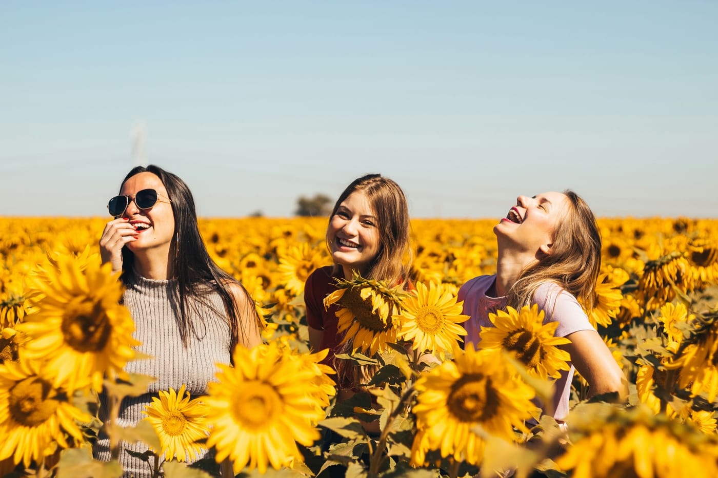 How Your Gut Health Affects Your Mental Health