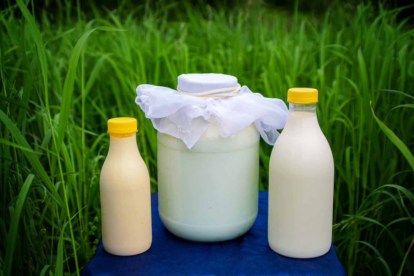 Living with Lactose Intolerance: Understanding Your Body